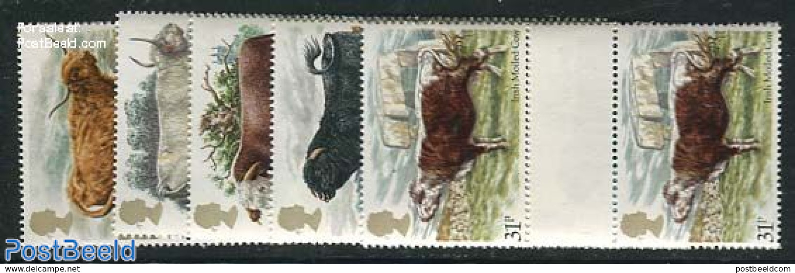 Great Britain 1984 Cattle 5v, Gutter Pairs, Mint NH, Nature - Cattle - Neufs