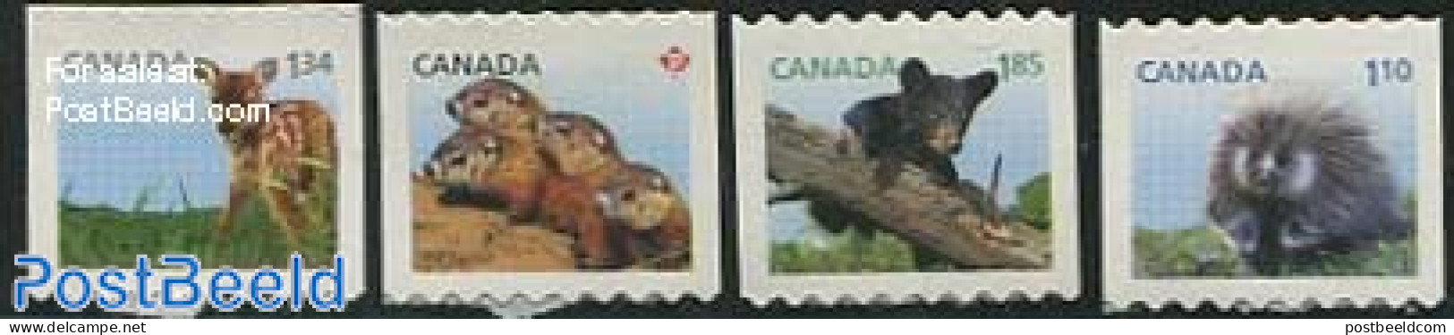 Canada 2013 Young Animals Coil S-a 4v, Mint NH, Nature - Animals (others & Mixed) - Bears - Deer - Hedgehog - Ongebruikt