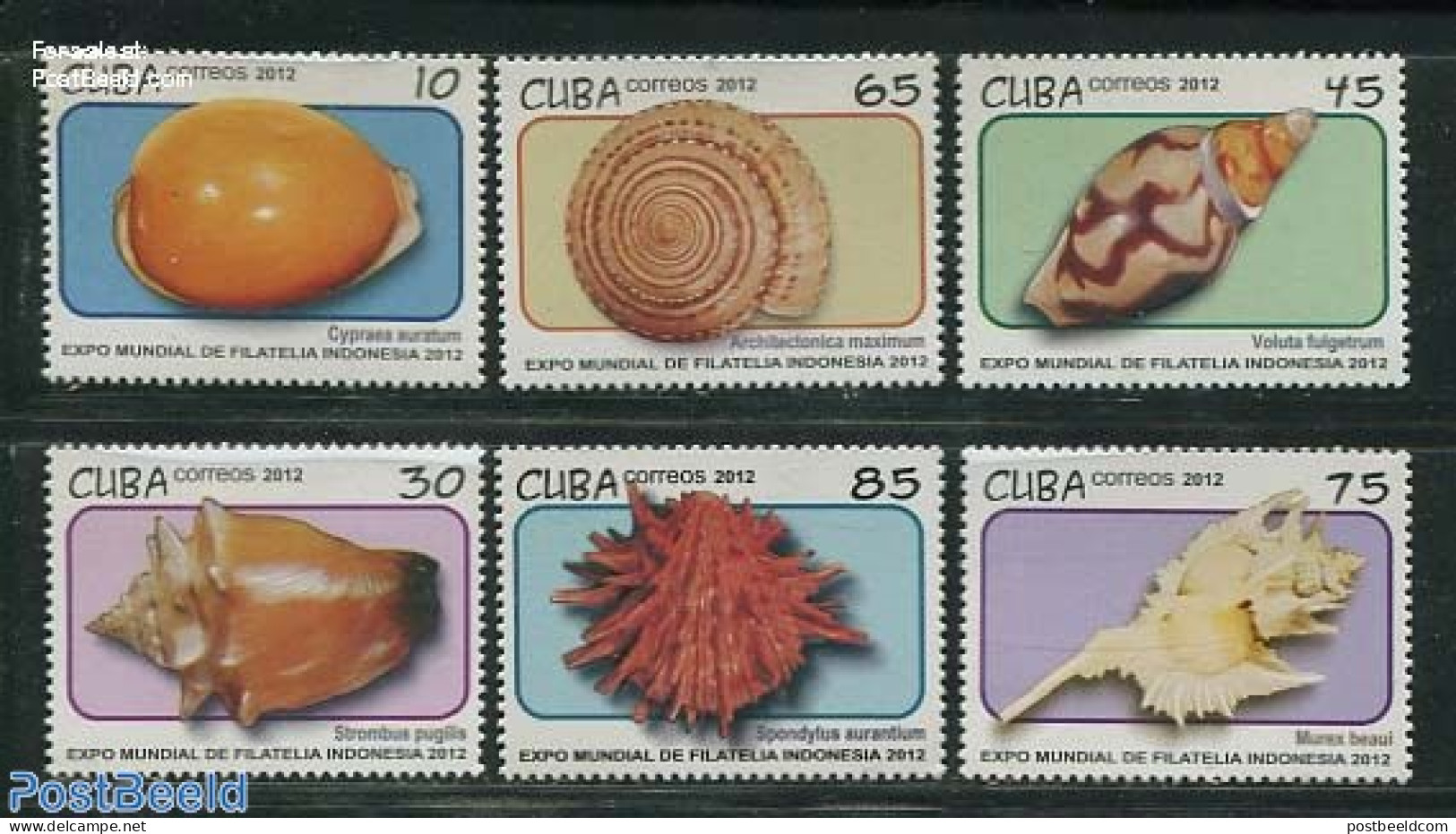 Cuba 2012 Shells 6v, Mint NH, Nature - Shells & Crustaceans - Unused Stamps