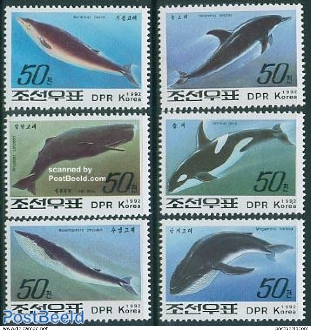 Korea, North 1992 Whales & Dolphins 6v, Mint NH, Nature - Sea Mammals - Korea, North