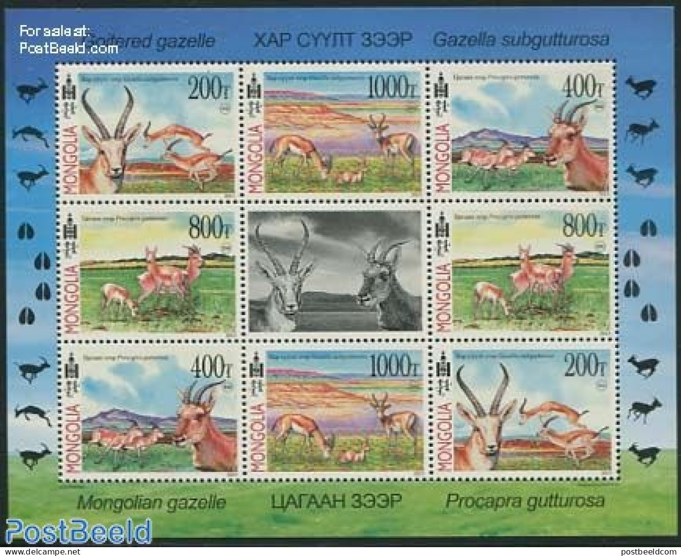 Mongolia 2013 Springboks M/s, Mint NH, Nature - Animals (others & Mixed) - Mongolie