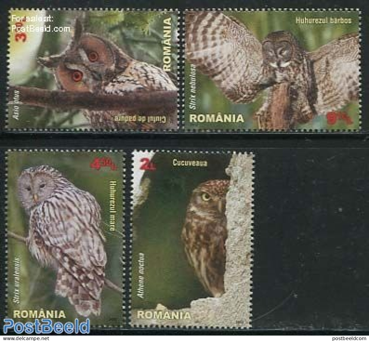 Romania 2013 Owls 4v, Mint NH, Nature - Birds - Birds Of Prey - Owls - Nuovi