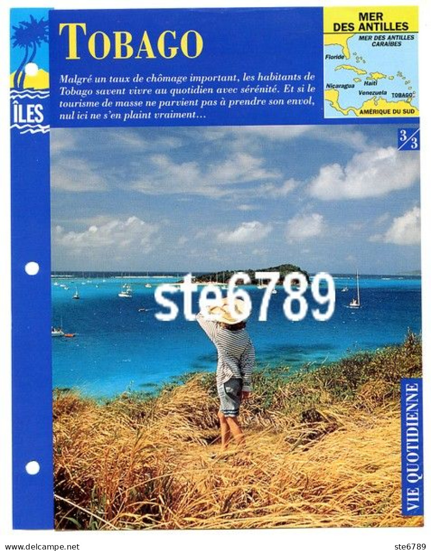 ILE TOBAGO  3/3 Série Iles Mer Des Antilles Géographie Vie Quotidienne Fiche Dépliante - Geografía