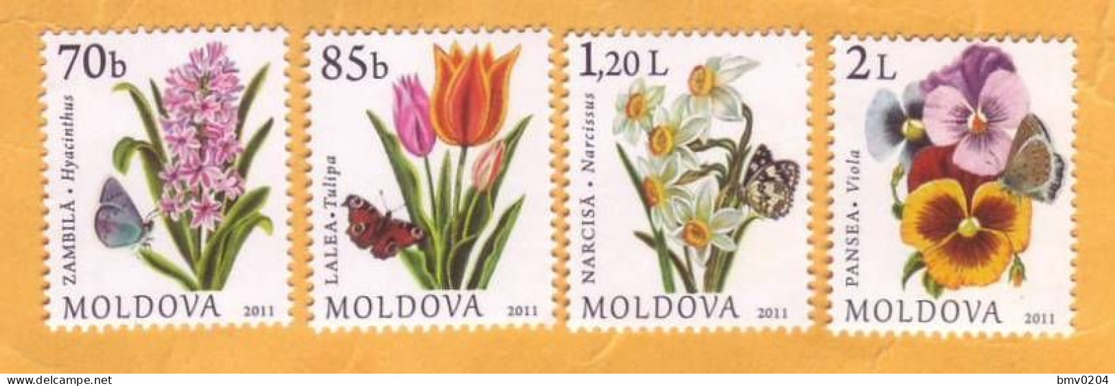 2011  Moldova Moldavie  Garden Flowers, Tulip, Narcissus, Violet, Hyacinth 4v Mint - Moldawien (Moldau)