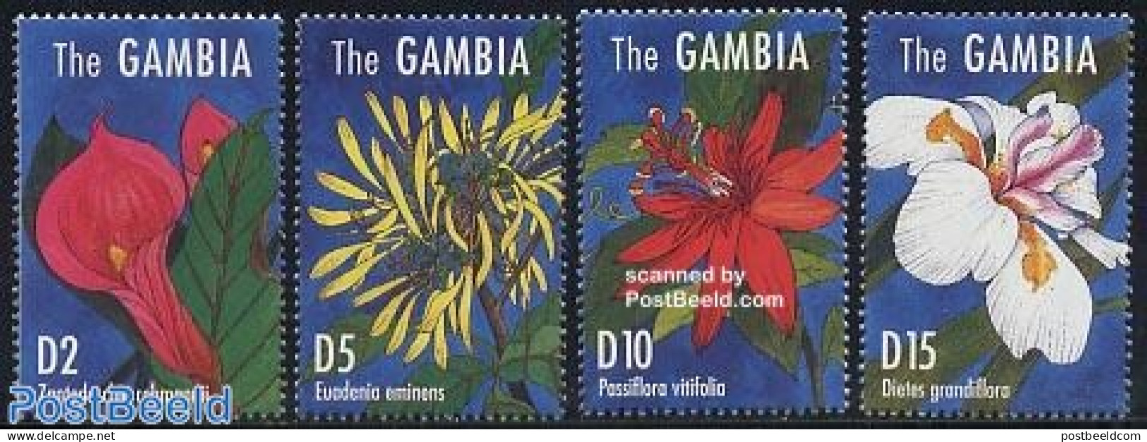 Gambia 1995 Flowers 4v, Mint NH, Nature - Flowers & Plants - Gambia (...-1964)