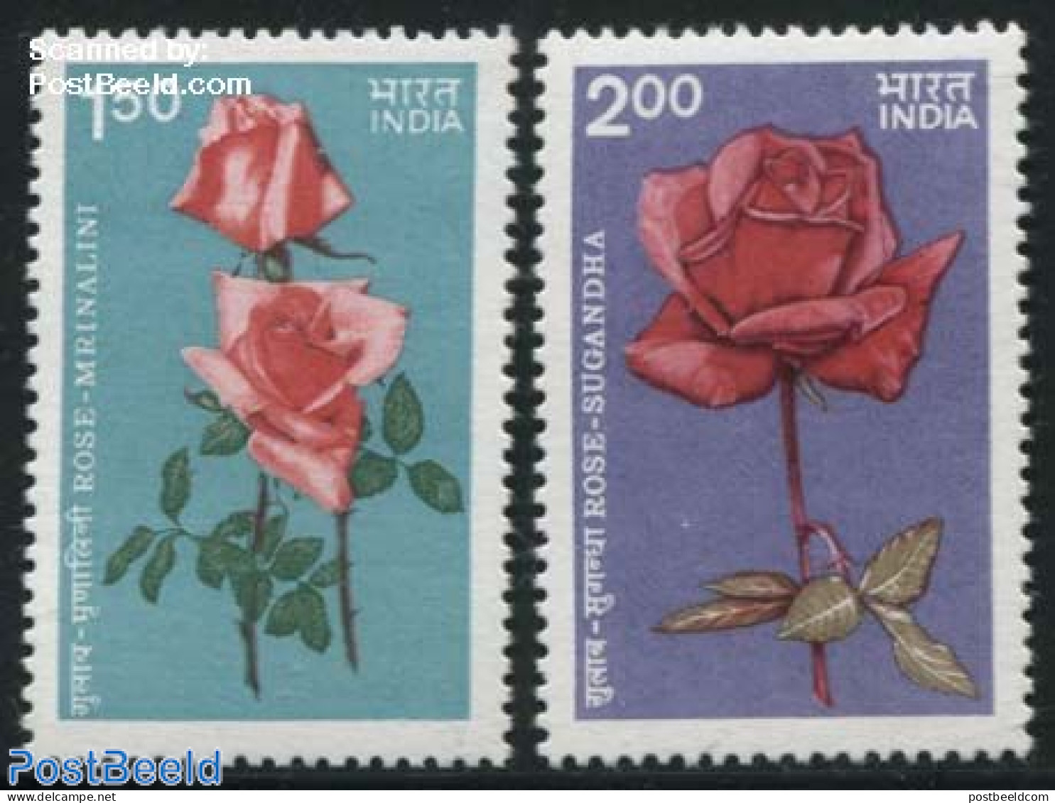 India 1984 Roses 2v, Mint NH, Nature - Flowers & Plants - Roses - Ongebruikt