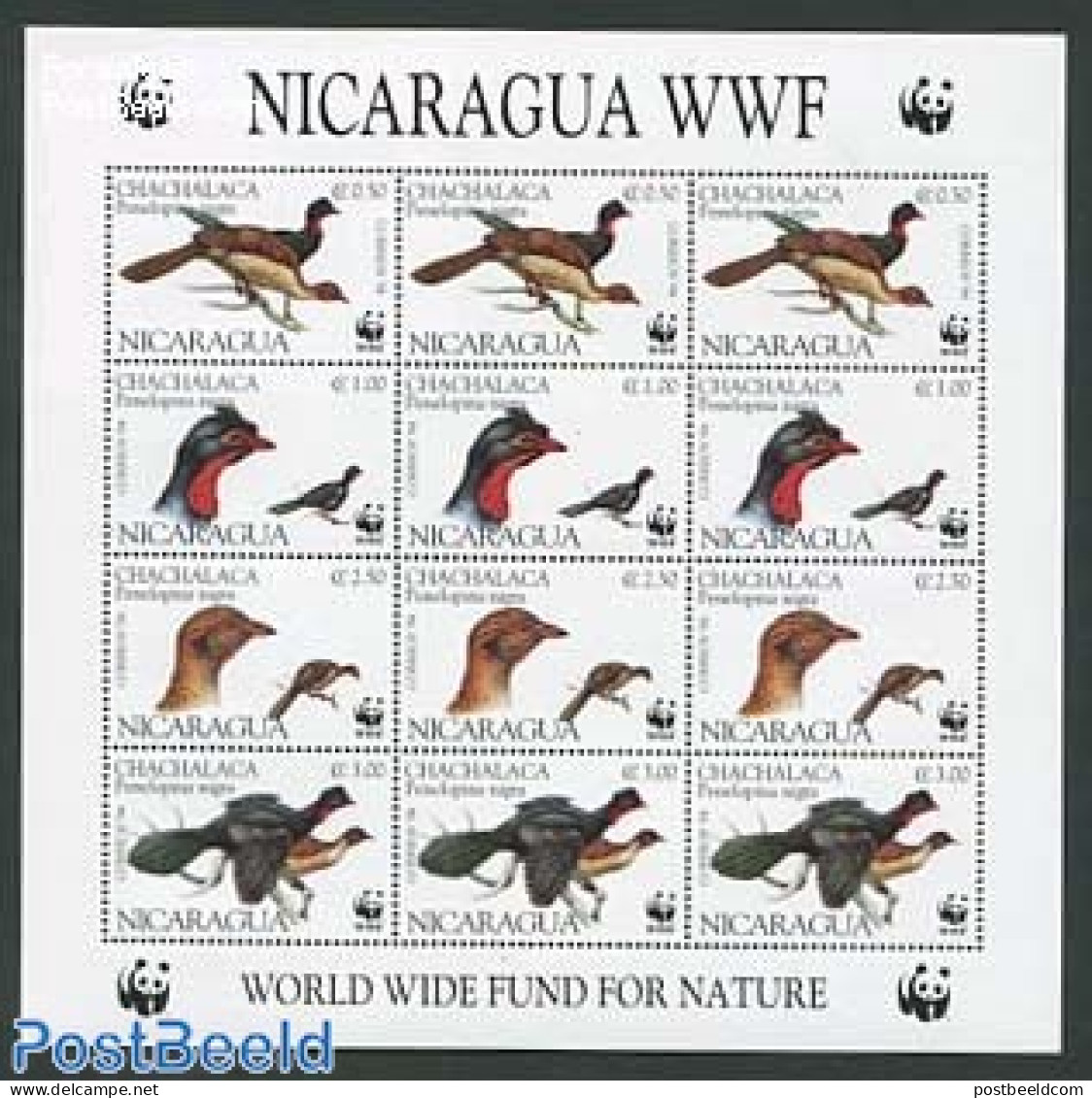 Nicaragua 1994 WWF M/s, Mint NH, Nature - Birds - World Wildlife Fund (WWF) - Nicaragua