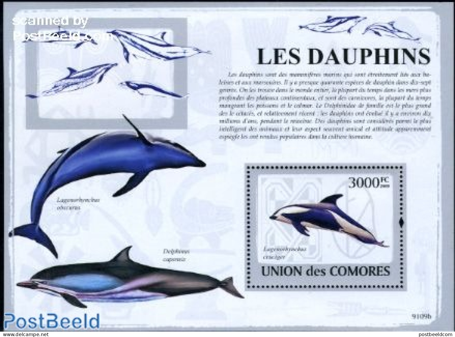 Comoros 2009 Dolphins S/s, Mint NH, Nature - Sea Mammals - Comoren (1975-...)