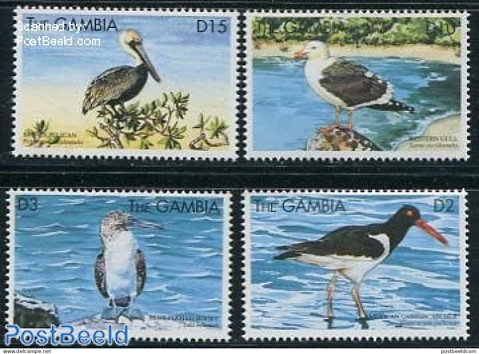Gambia 1999 Sea Birds 4v, Mint NH, Nature - Birds - Storks - Gambie (...-1964)