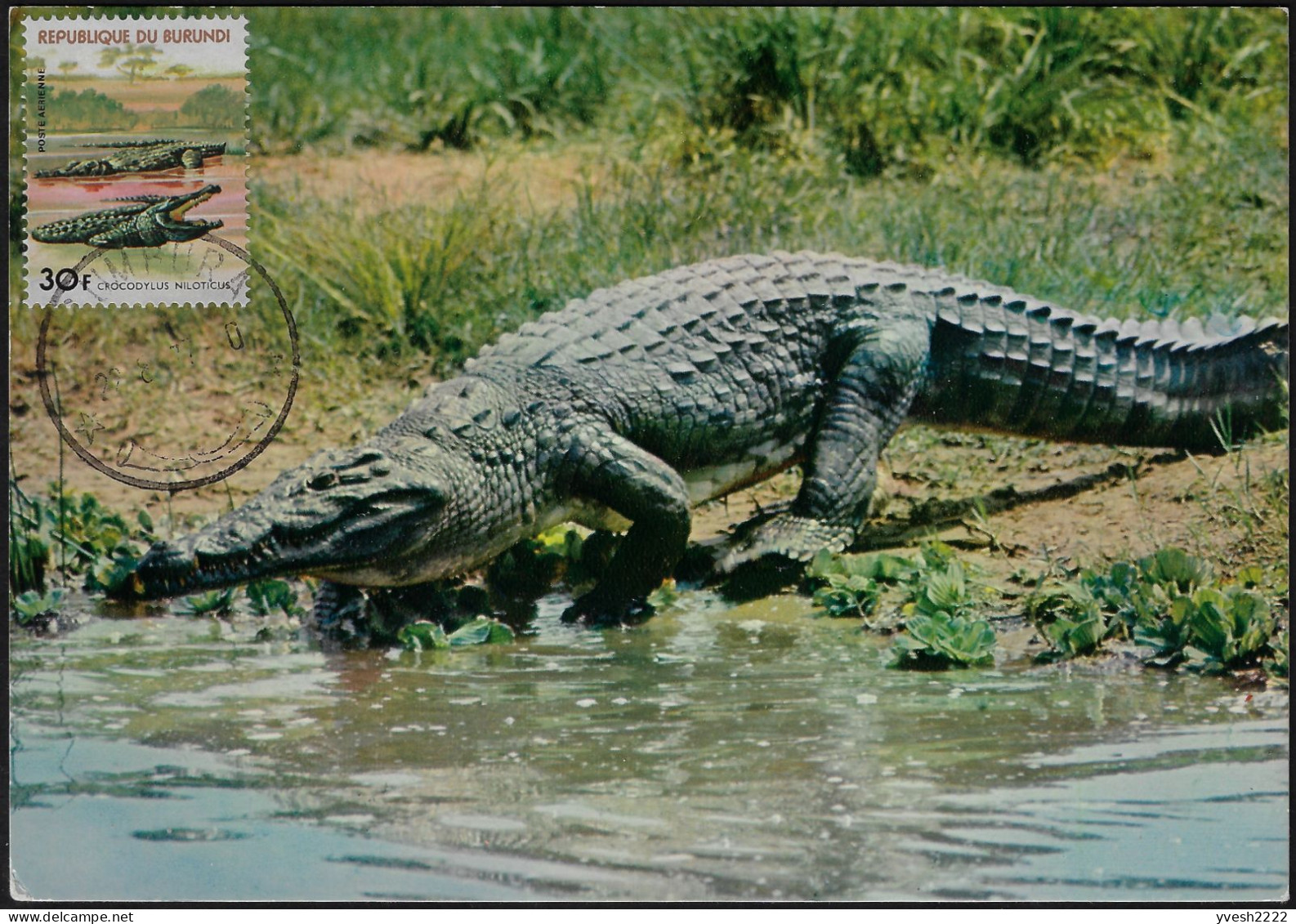 Burundi 1977 Y&T PA 454 Sur Carte Maximum. Crocodylus Niloticus, Crocodile Du Nil Qui Va Prendre Son Bain - Andere & Zonder Classificatie