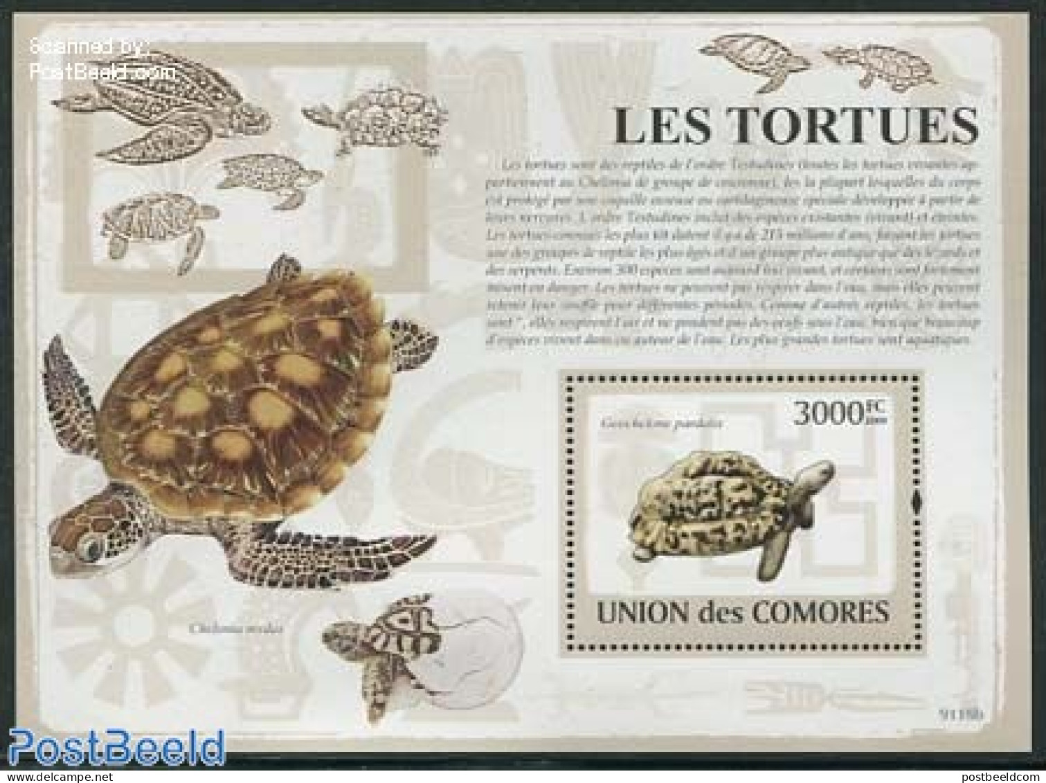 Comoros 2009 Turtles S/s, Mint NH, Nature - Turtles - Comores (1975-...)