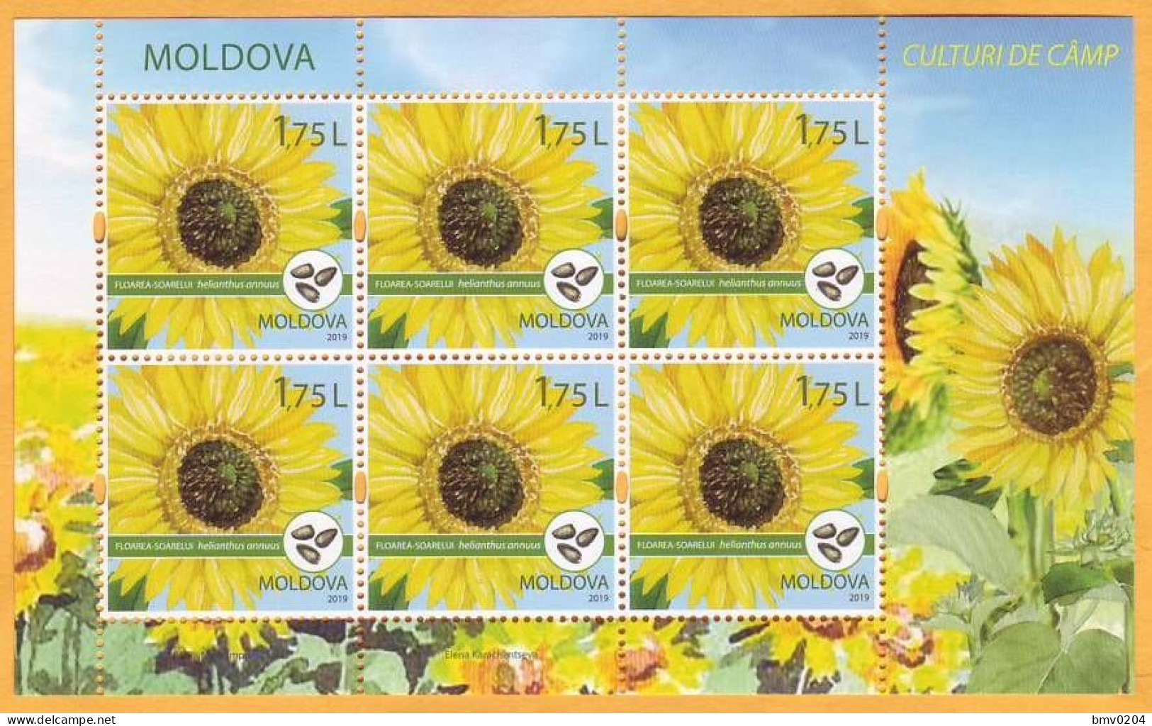 2019 Moldova Moldavie Cereal Crops. Field Crops. Sunflower. Sheet Mint - Moldawien (Moldau)