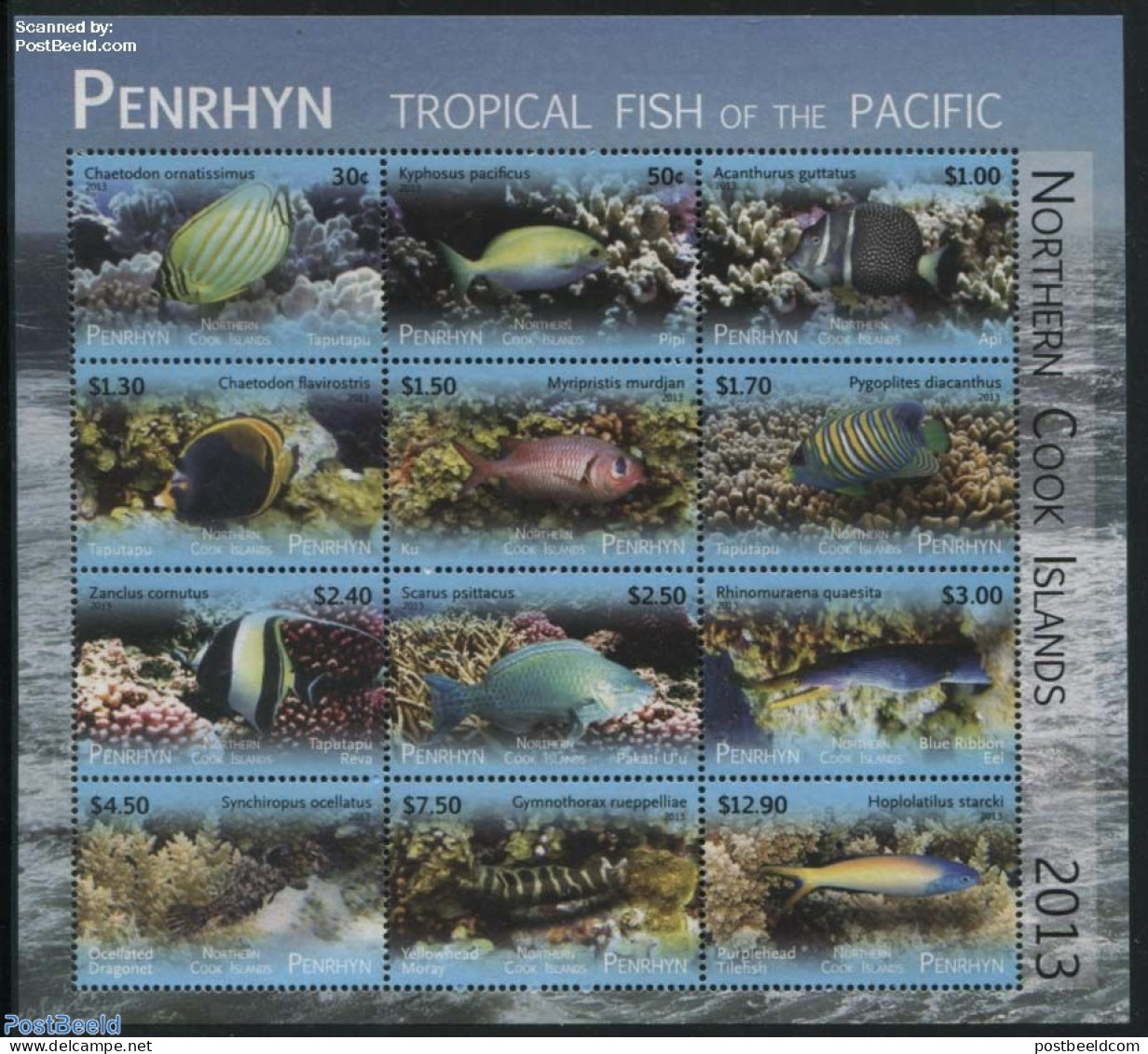 Penrhyn 2013 Tropical Fish 12v M/s, Mint NH, Nature - Fish - Poissons