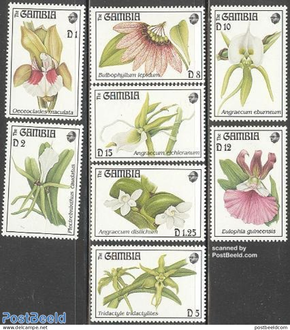 Gambia 1994 Orchids 8v, Mint NH, Nature - Flowers & Plants - Orchids - Gambia (...-1964)