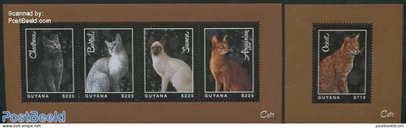 Guyana 2013 Cats 2 S/s, Mint NH, Nature - Cats - Guyana (1966-...)