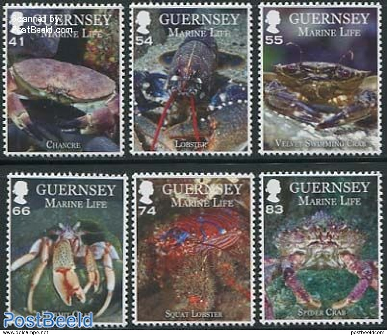 Guernsey 2014 Marine Life 6v, Mint NH, Nature - Shells & Crustaceans - Crabs And Lobsters - Marine Life