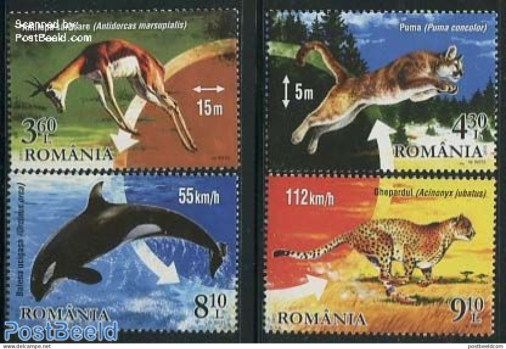 Romania 2015 Champions Of Wildlife 4v, Mint NH, Nature - Animals (others & Mixed) - Cat Family - Sea Mammals - Nuovi