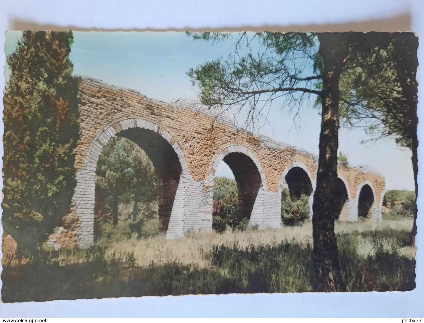 Cp 14x9 , L'aqueduc Romain De Fréjus , Vierge ! - Frejus