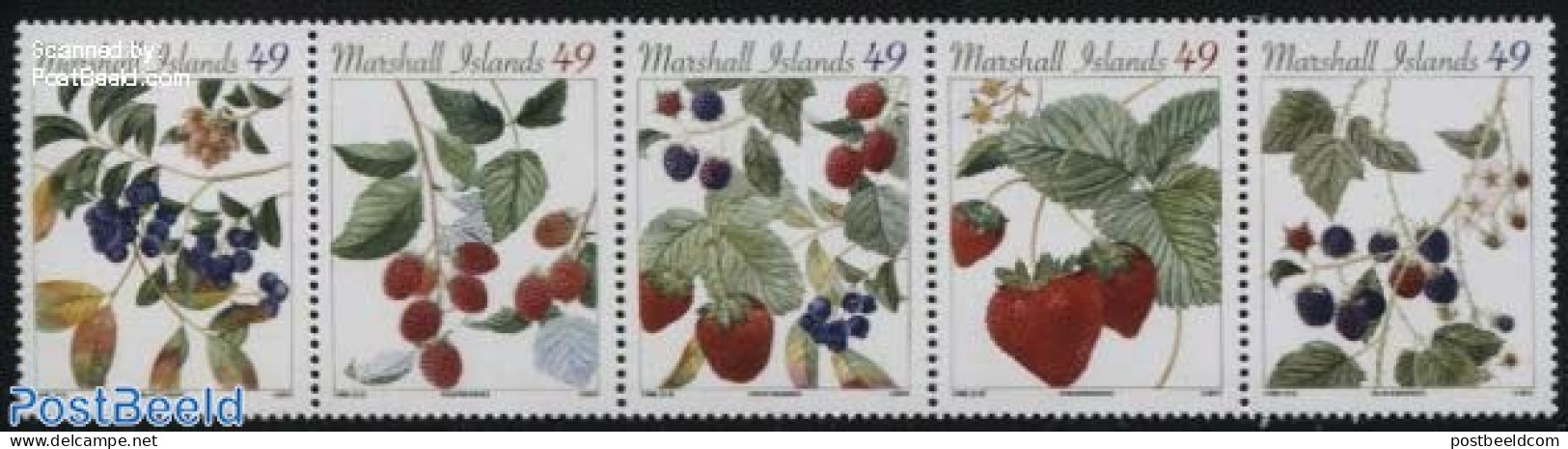 Marshall Islands 2015 Berries 5v [::::], Mint NH, Nature - Fruit - Fruit