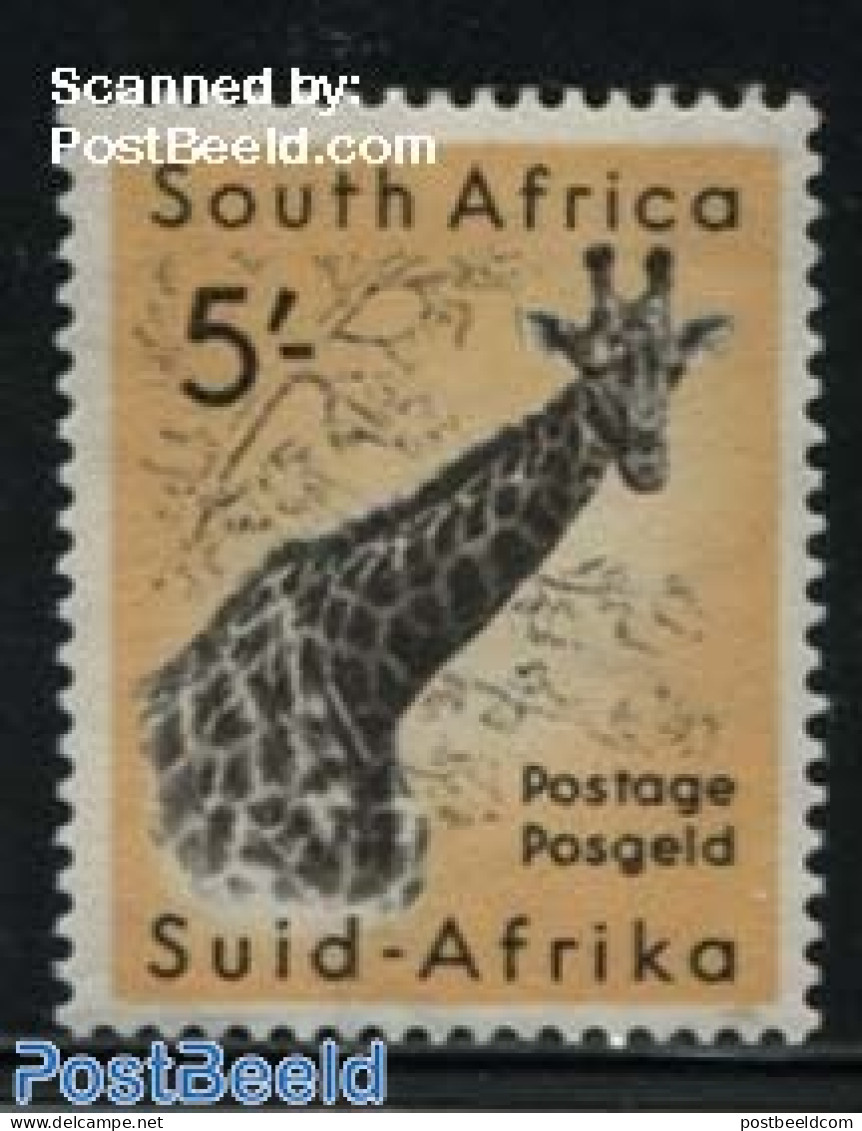 South Africa 1954 5Sh, Stamp Out Of Set, Mint NH, Nature - Animals (others & Mixed) - Wild Mammals - Neufs