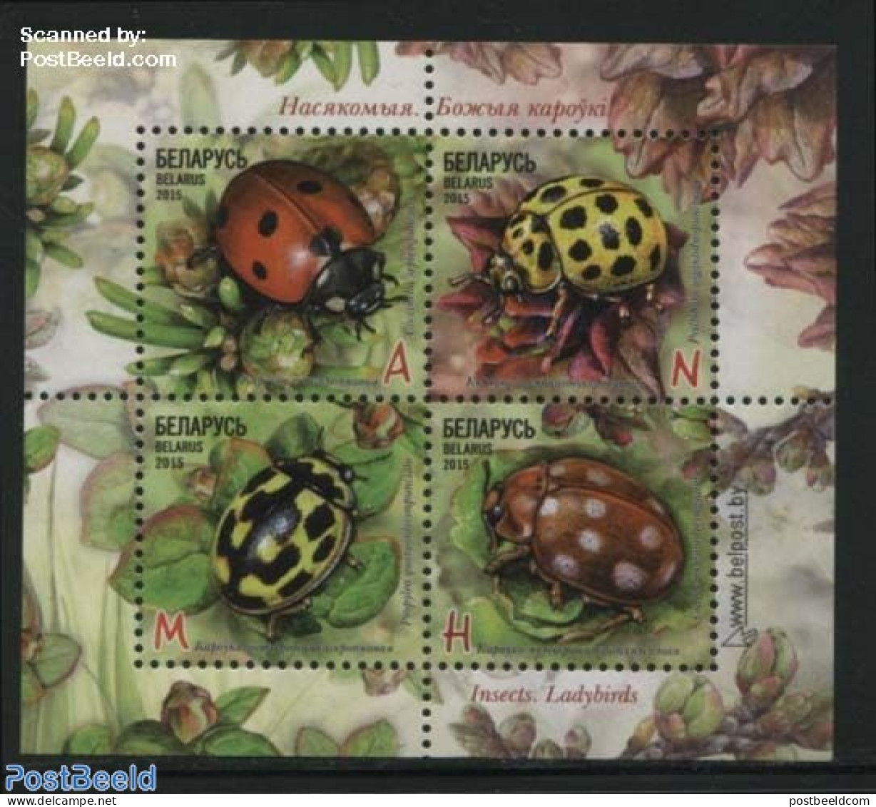 Belarus 2015 Ladybirds S/s, Mint NH, Nature - Insects - Bielorussia