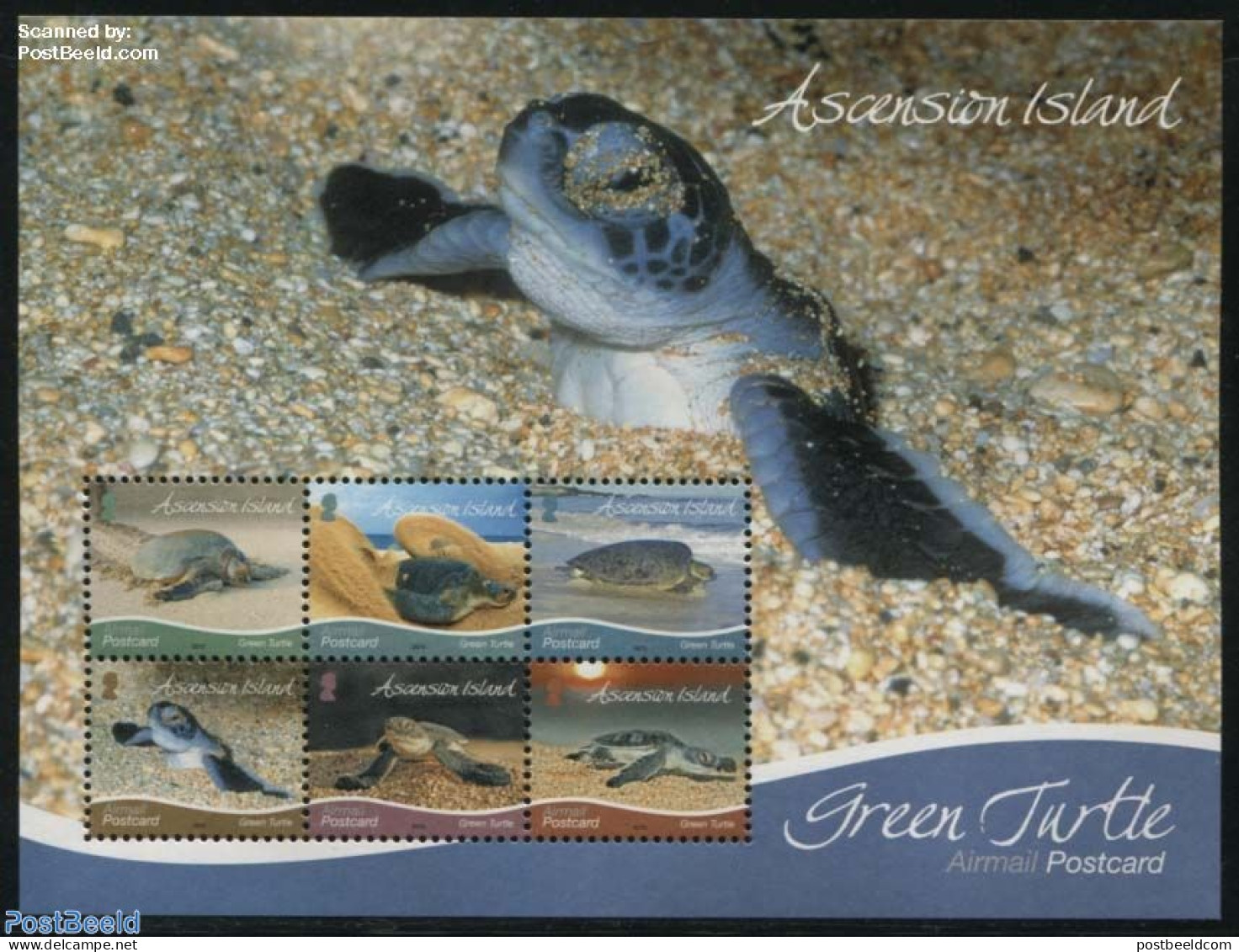 Ascension 2015 Turtles S/s, Mint NH, Nature - Reptiles - Turtles - Ascension (Ile De L')