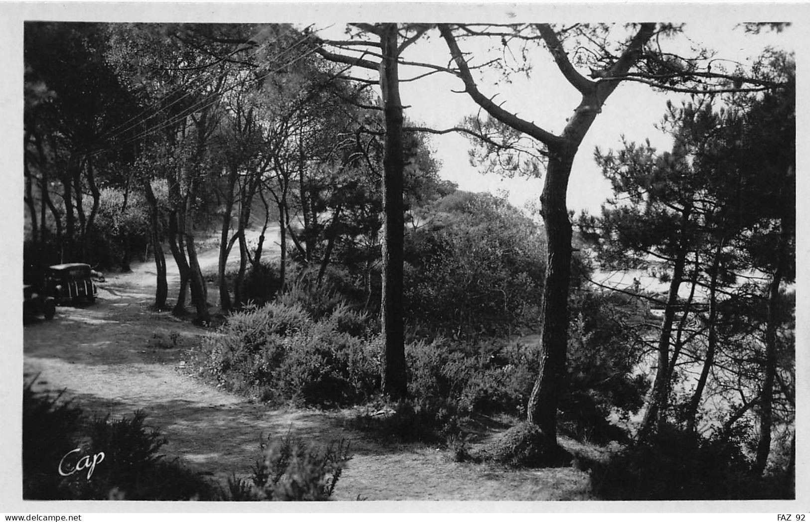 Saint-Brévin-l'Océan - Sous-bois En Bordure De La Plage Du Pointeau - Saint-Brevin-les-Pins