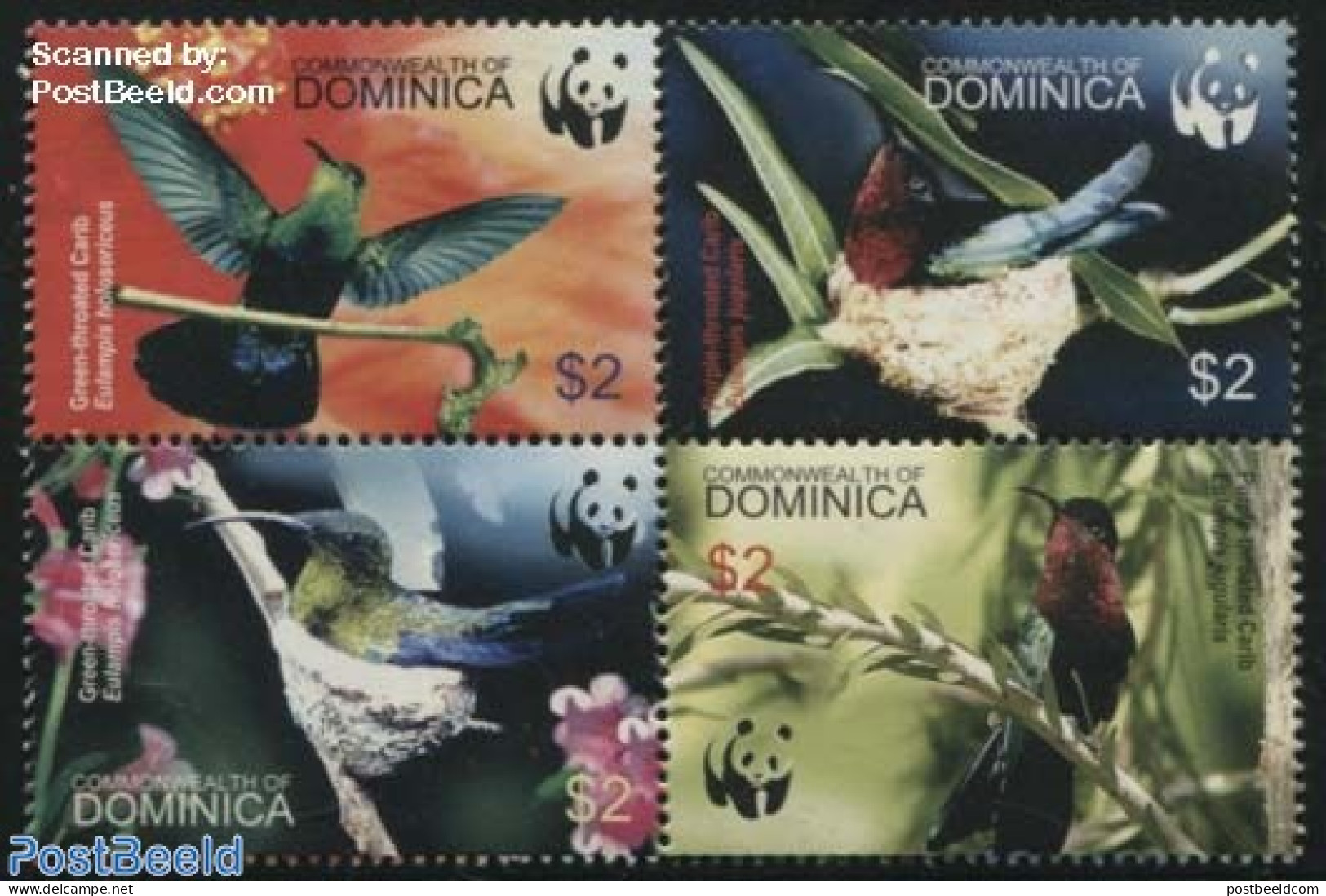 Dominica 2005 WWF, Birds 4v [+] Or [:::], Mint NH, Nature - Birds - World Wildlife Fund (WWF) - Repubblica Domenicana