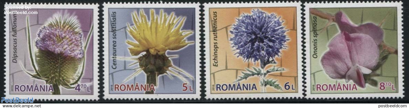 Romania 2016 Flowers With Thorns 4v, Mint NH, Nature - Flowers & Plants - Neufs