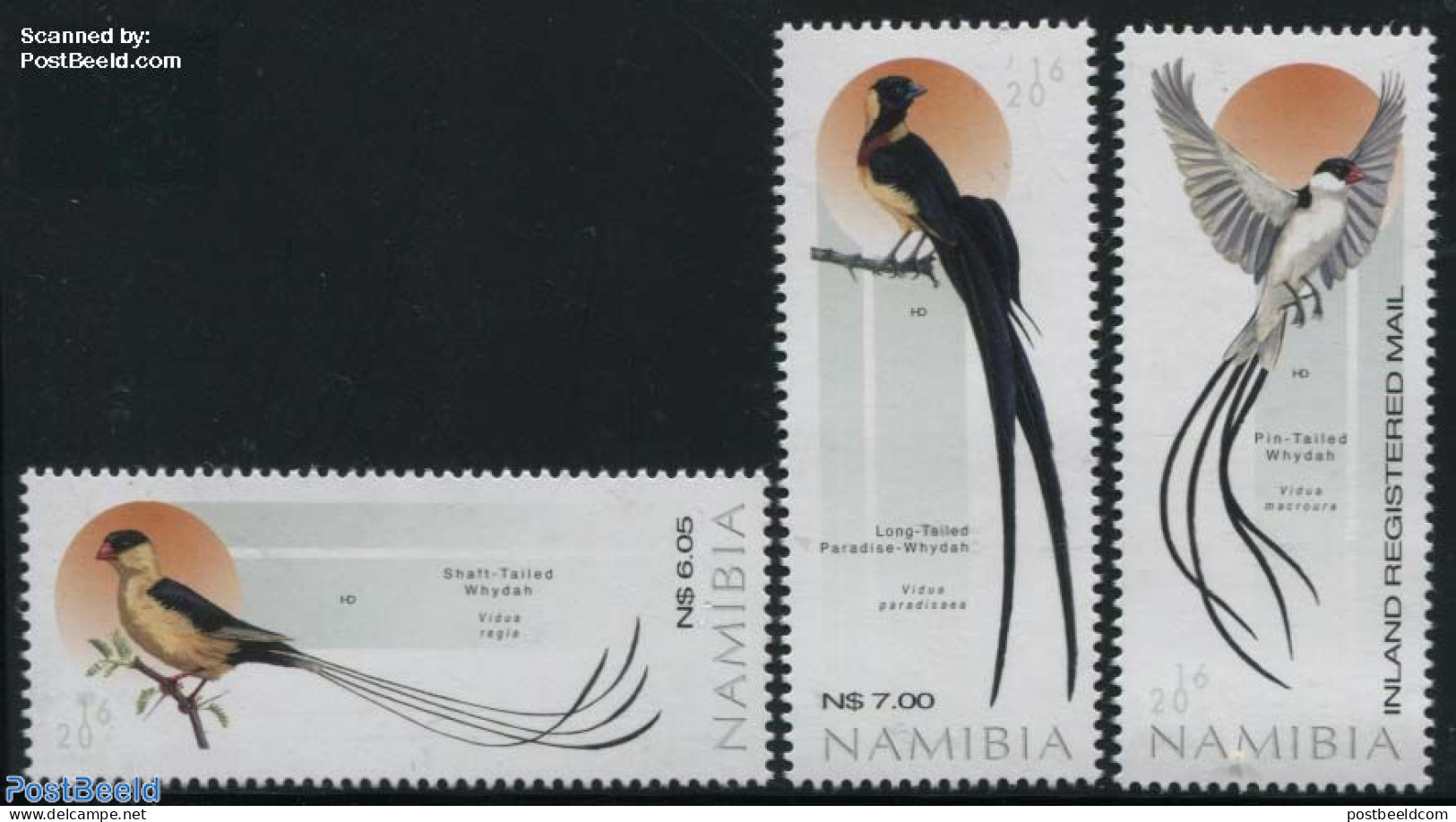 Namibia 2016 Birds 3v, Mint NH, Nature - Birds - Namibie (1990- ...)