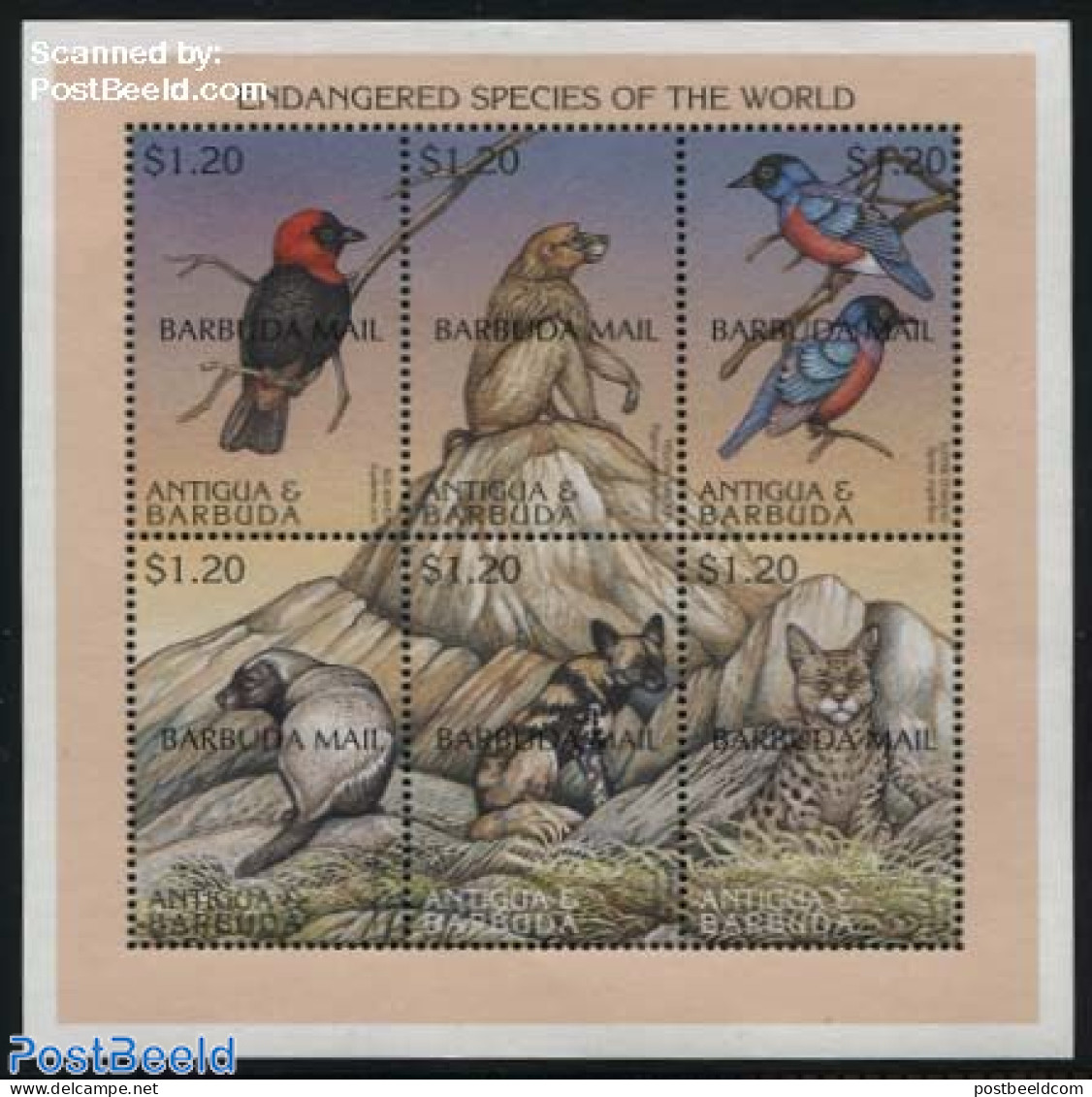 Barbuda 1999 Endangered Species 6v M/s, Mint NH, Nature - Animals (others & Mixed) - Birds - Cat Family - Monkeys - Barbuda (...-1981)