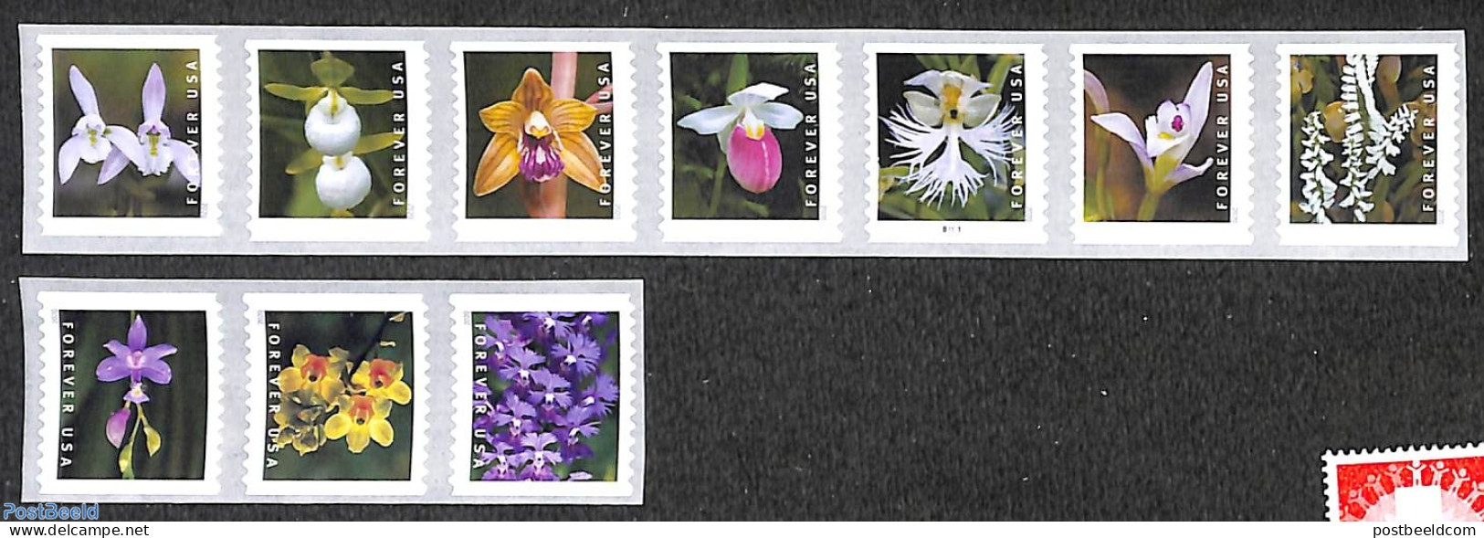 United States Of America 2020 Wild Orchids 10v S-a, Mint NH, Nature - Flowers & Plants - Orchids - Ongebruikt