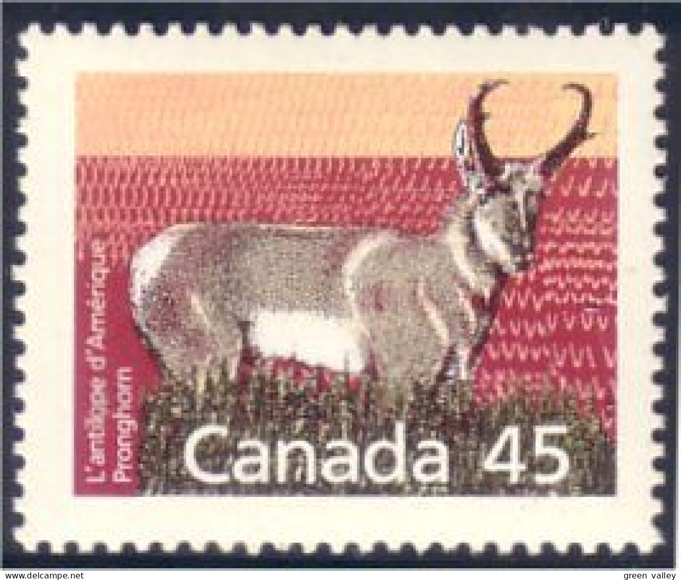 Canada Chamois Pronghorn MNH ** Neuf SC (C11-72a) - Neufs