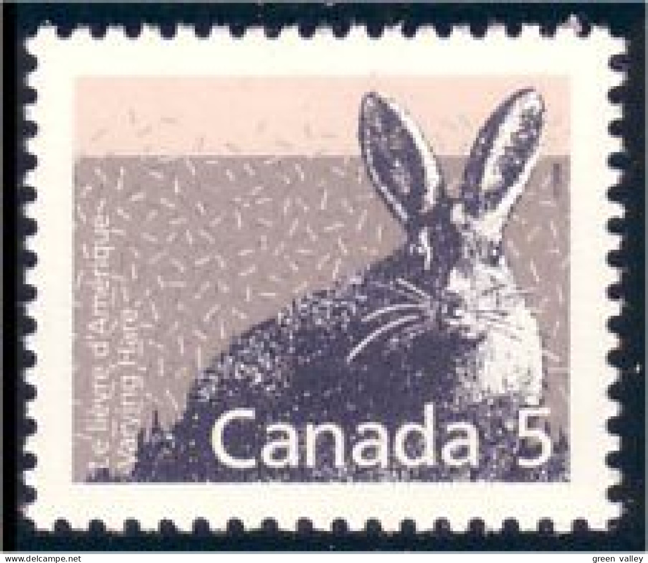 Canada Hare Coniglio Kaninchen Coelho Lievre Lapin Hase Rabbit Conejo Konijn MNH ** Neuf SC (C11-58c) - Rodents