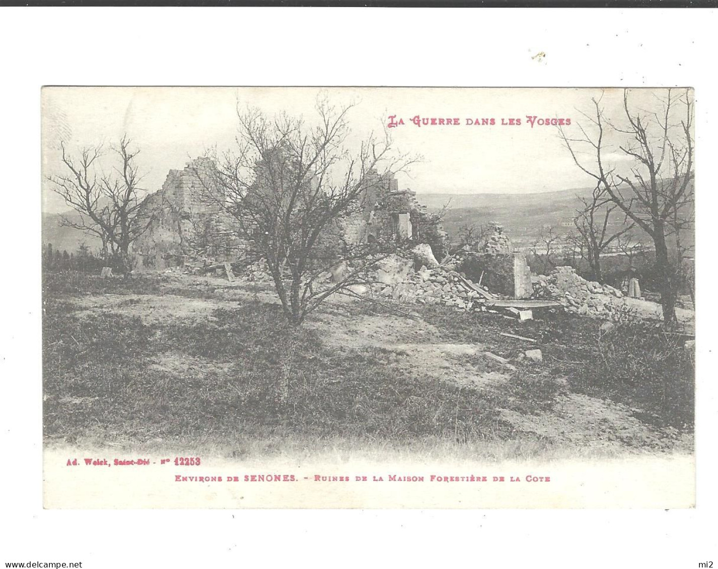 88 Senones  Ruines Maison Forestiere De La Cote  CPA Neuve TBE - Senones