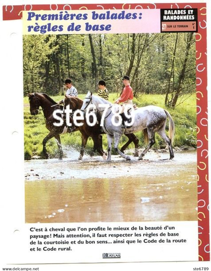 BALADES REGLES DE BASE Horse Chevaux A Cheval  Balades Et Randonnées Fiche Dépliante - Tiere