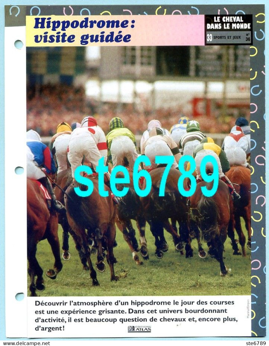 Cheval HIPPODROME VISITE GUIDEE Horse Chevaux Sports Et Jeux Fiche Dépliante - Tiere