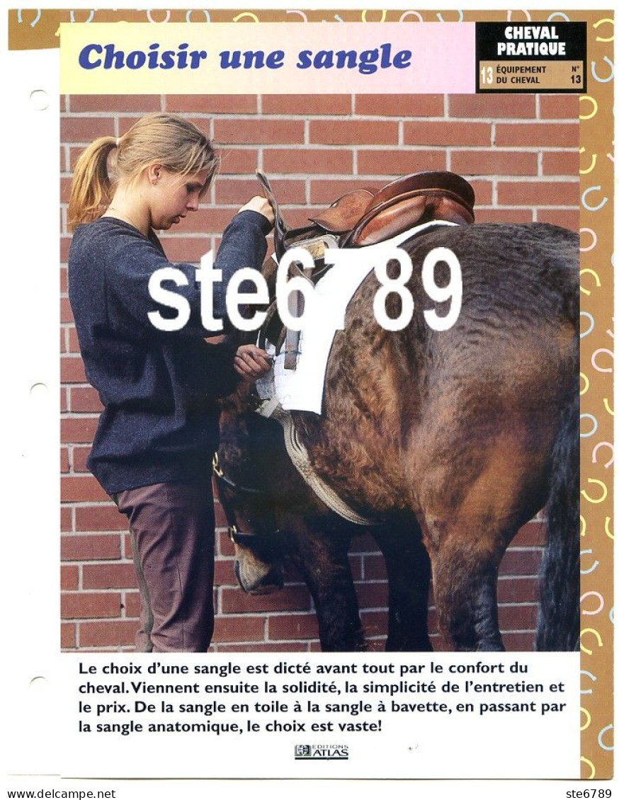 Cheval Horse Chevaux CHOISIR UNE SANGLE Equipement Fiche Dépliante - Animaux