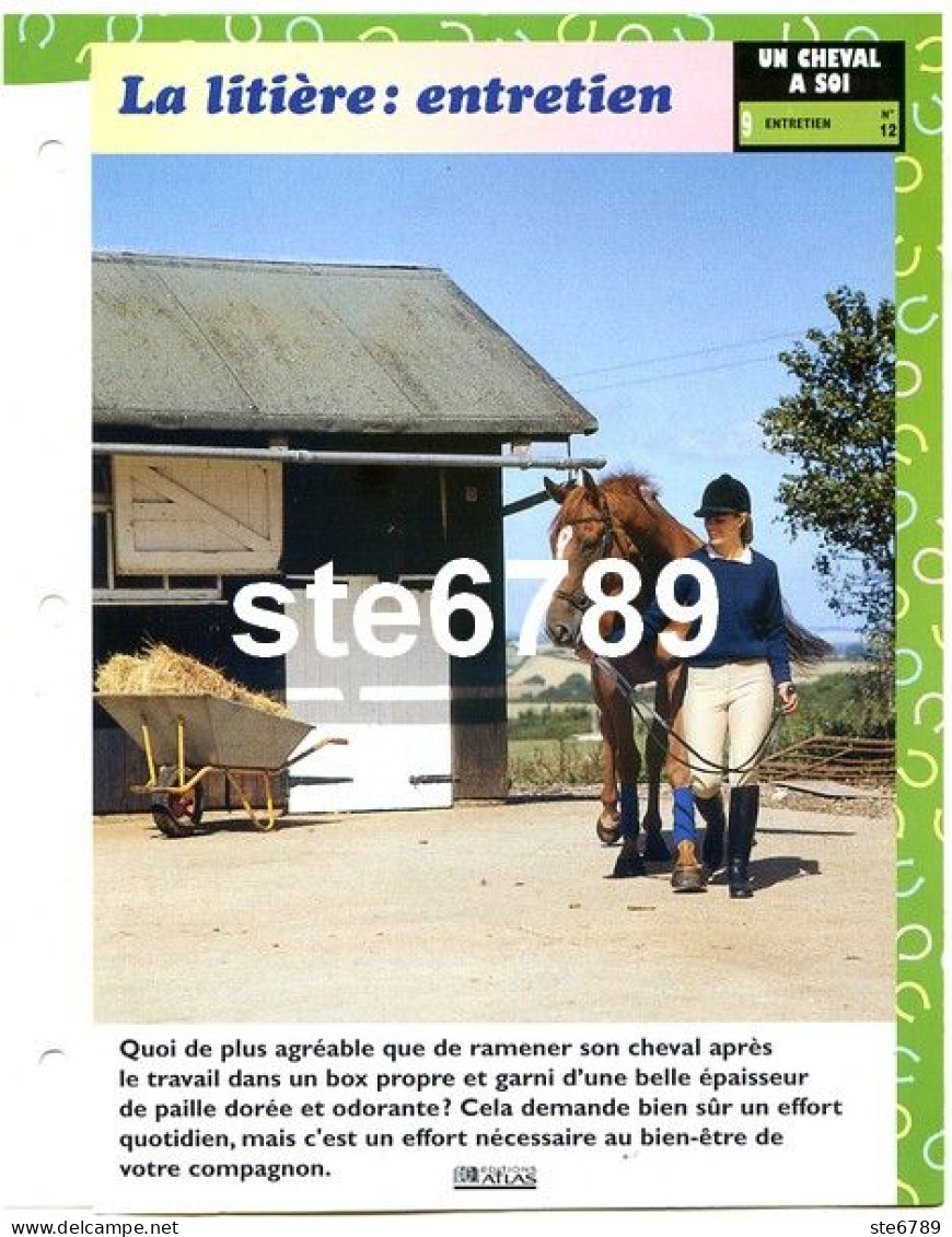 Cheval Horse Chevaux LA LITIERE ENTRETIEN Fiche Dépliante - Tiere