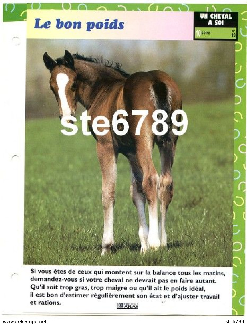 Cheval Horse Chevaux LE BON POIDS  Soins Fiche Dépliante - Animales