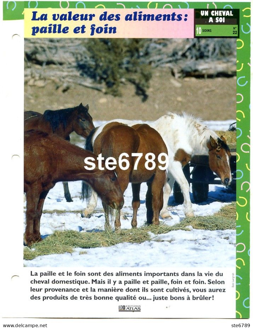 Cheval Horse Chevaux LA VALEUR DES ALIMENTS PAILLE ET FOIN Soins Fiche Dépliante - Animales