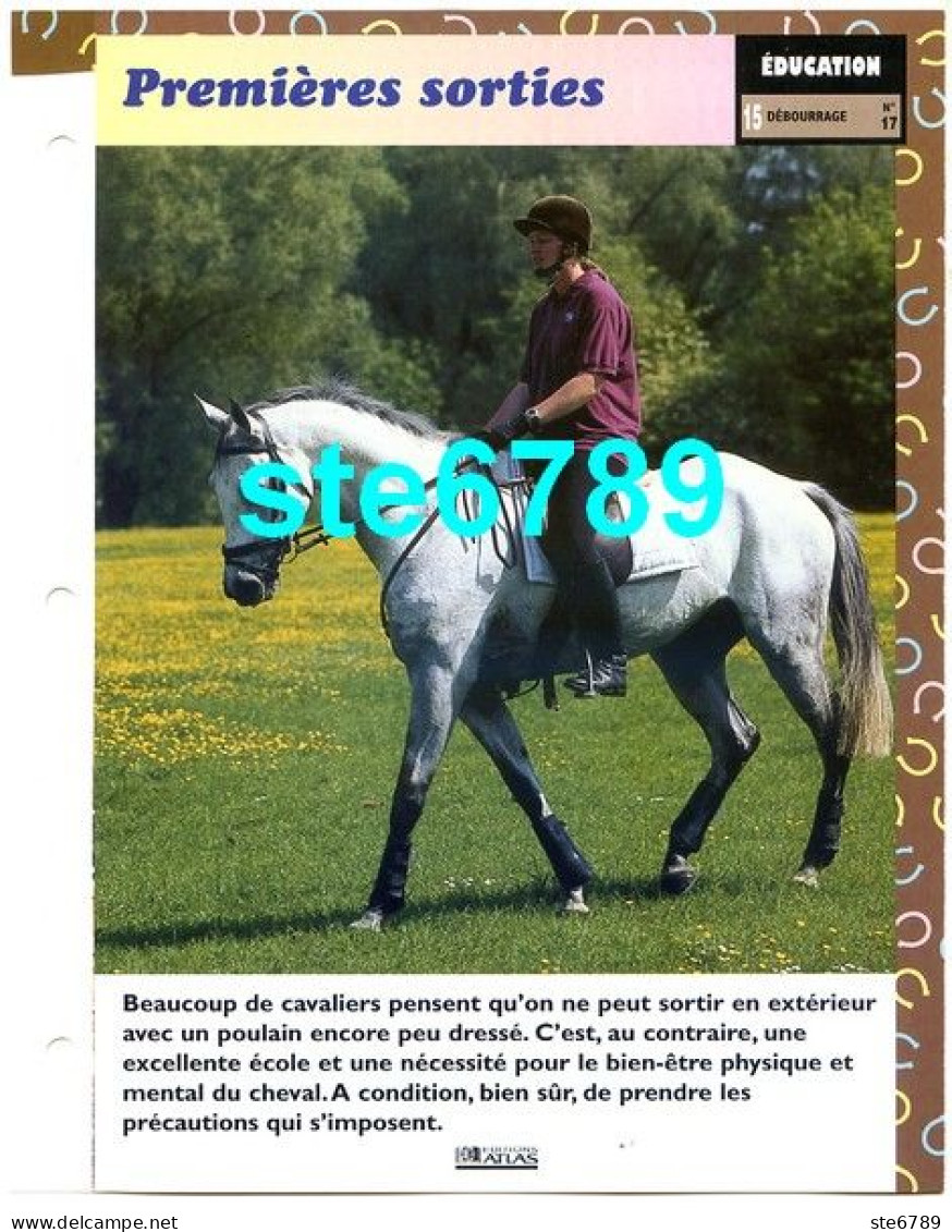 Cheval PREMIERES SORTIES Horse Chevaux Débourrage Fiche Dépliante - Animales