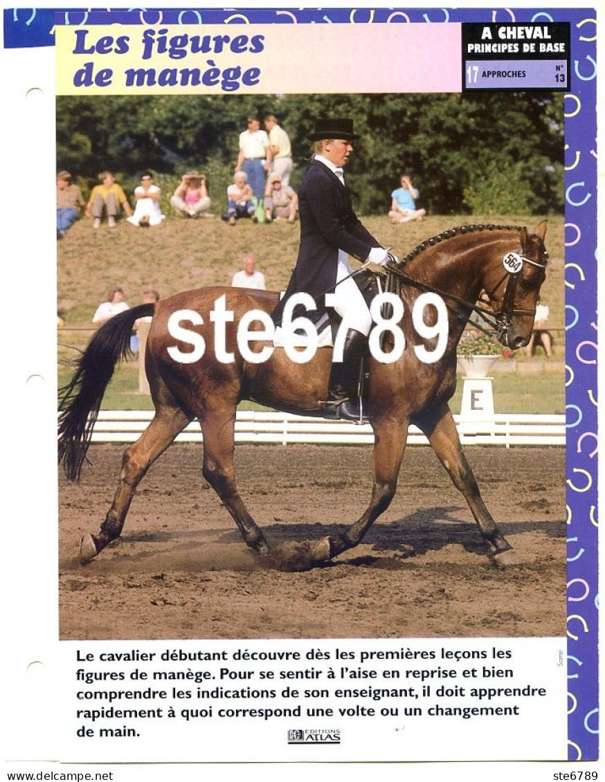 Cheval LES FIGURES DE MANEGE Horse Chevaux Fiche Dépliante - Tiere