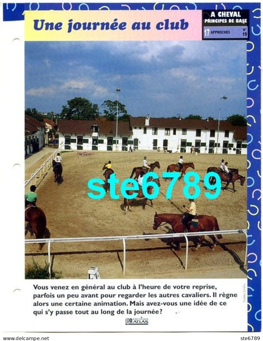 Cheval UNE JOURNEE AU CLUB Horse Chevaux Fiche Dépliante - Animaux