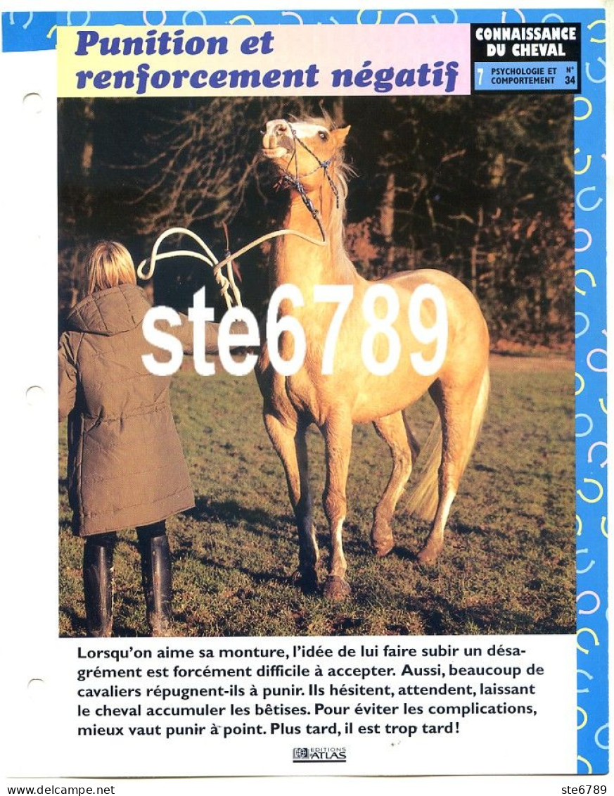 Cheval PUNITION ET RENFORCEMENT NEGATIF Horse Chevaux Comportement Fiche Dépliante - Tiere