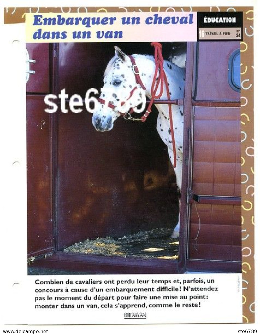 EMBARQUER UN CHEVAL DANS UN VAN    Horse Chevaux Education Cheval Travail A Pied Fiche Dépliante - Tiere