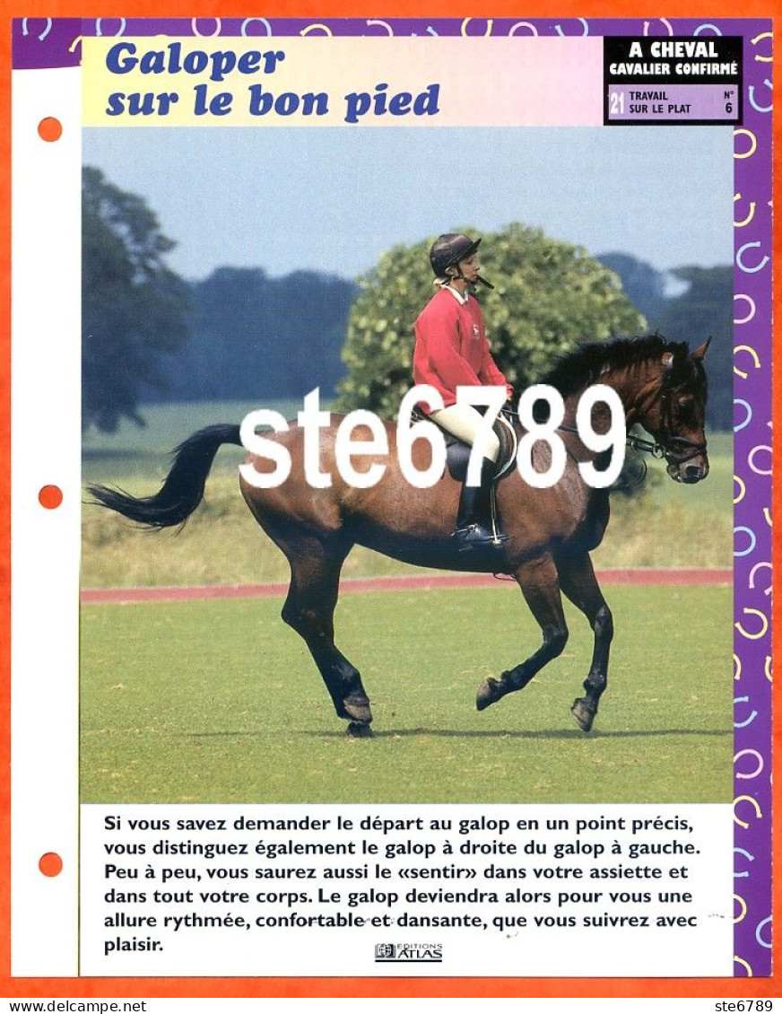 GALOPER SUR BON PIED Horse Chevaux A Cheval Cavalier Confirmé Equitation Fiche Dépliante - Animaux