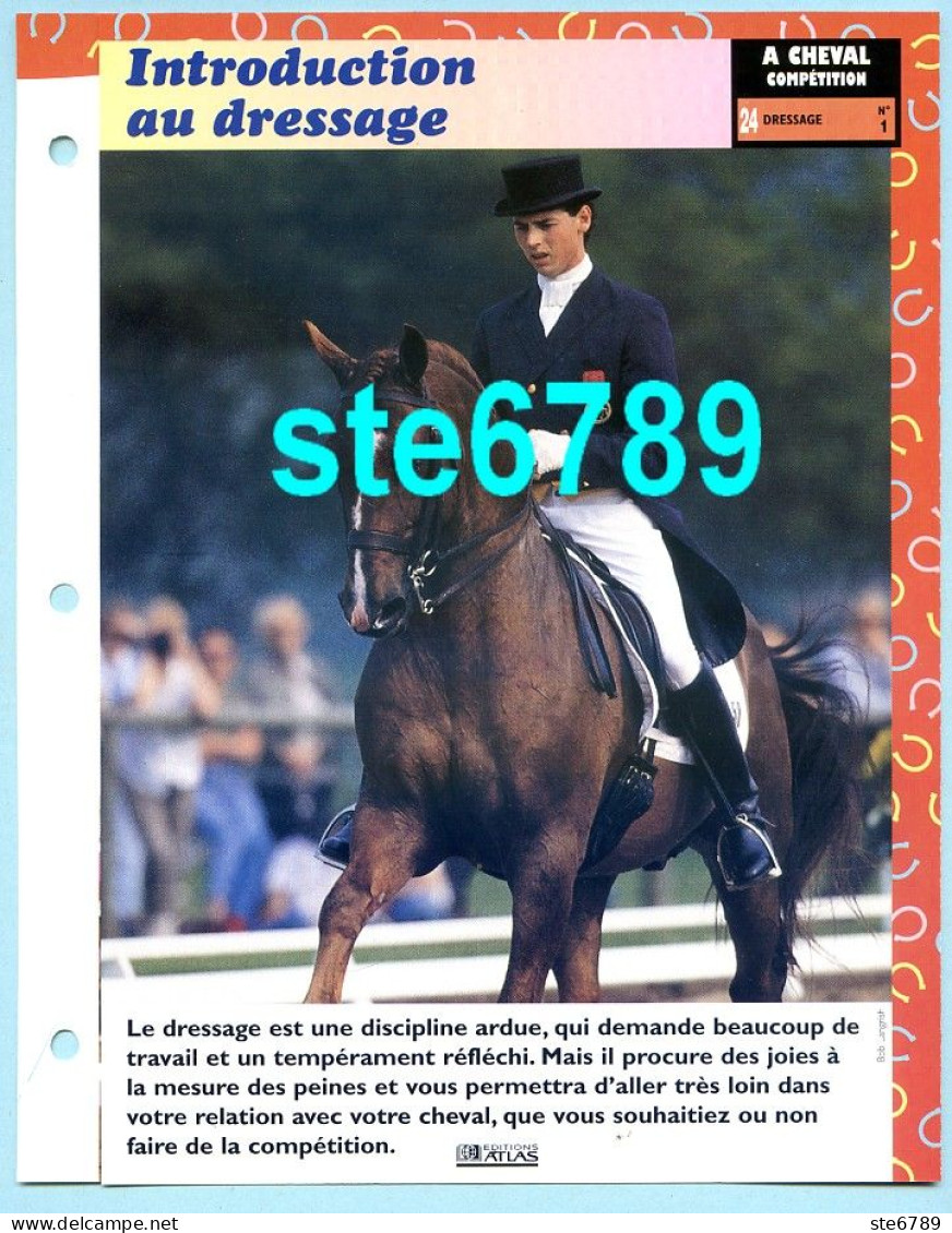 INTRODUCTION AU DRESSAGE Horse Chevaux A Cheval Cavalier Compétition Equitation Fiche Dépliante - Tiere