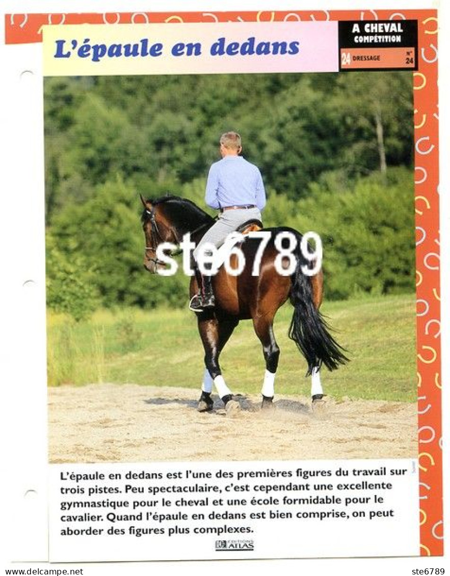 L'EPAULE EN DEDANS  Horse Chevaux A Cheval  Cavalier Compétition Equitation Fiche Dépliante - Animales