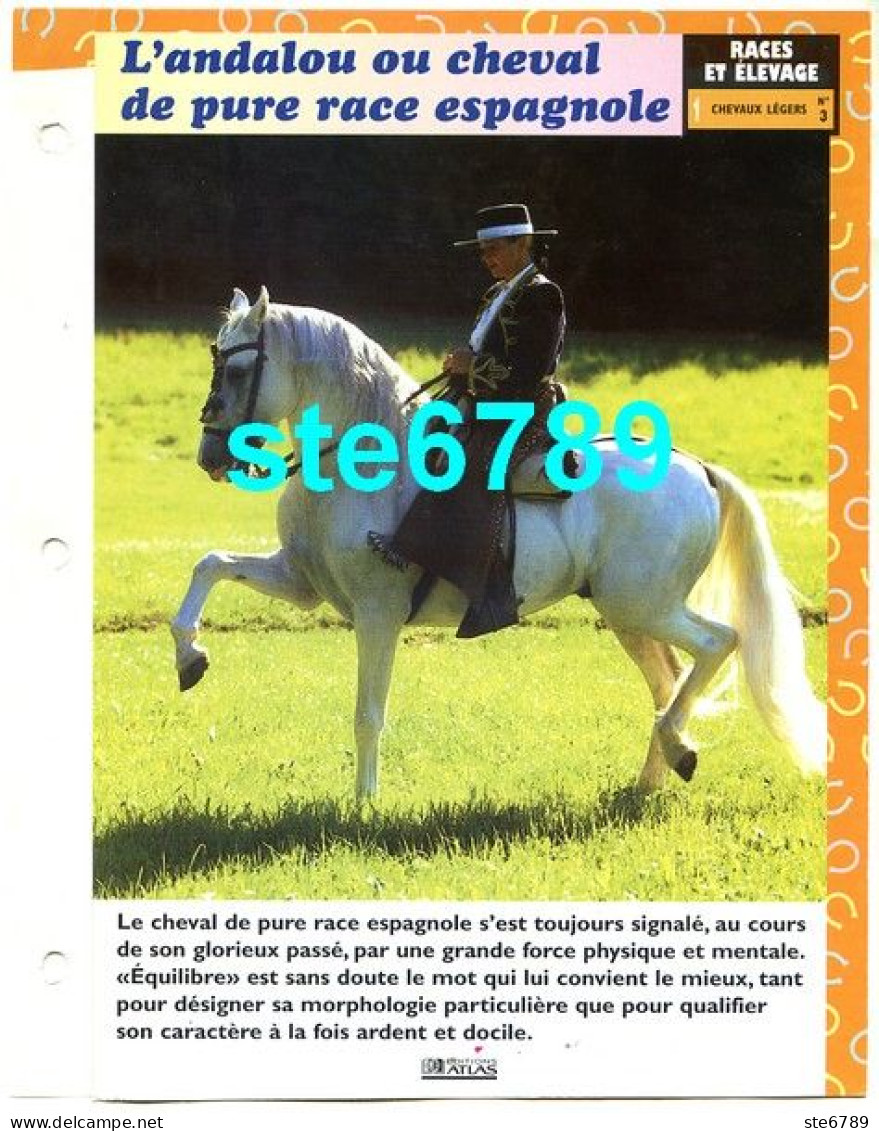 L' ANDALOU OU CHEVAL DE PURE RACE ESPAGNOLE Cheval Horse Chevaux Fiche Dépliante - Animaux